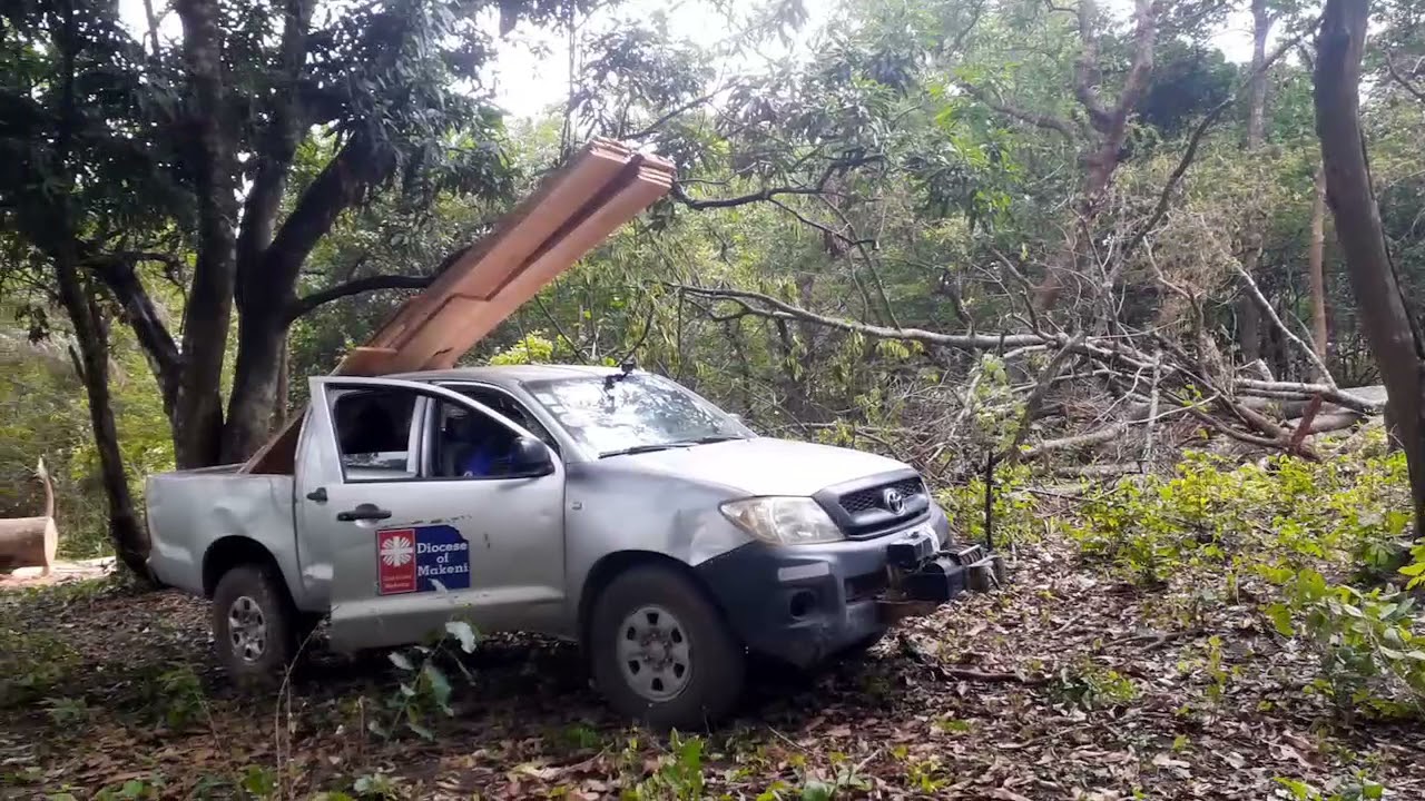 MISIONARIS XAVERIAN - MENGAMBIL PAPAN DI HUTAN, SIERRA LEONE, AFRIKA BARAT