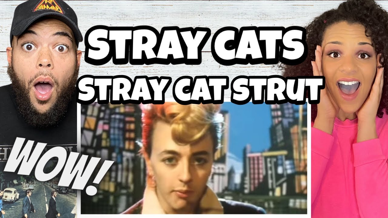 YALL CRACK US UP!.| FIRST TIME HEARING Stray Cats - Stray Cats Strut REACTION