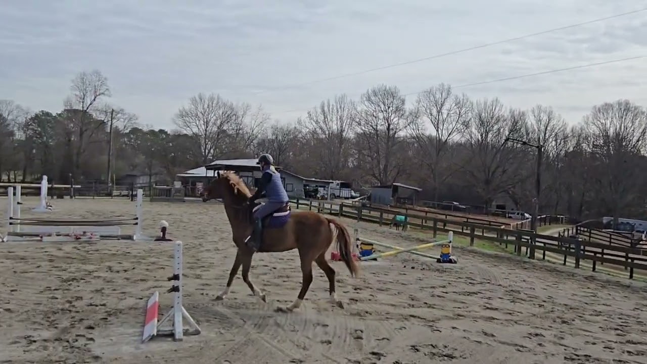 Janet Keller - Atticus Flat