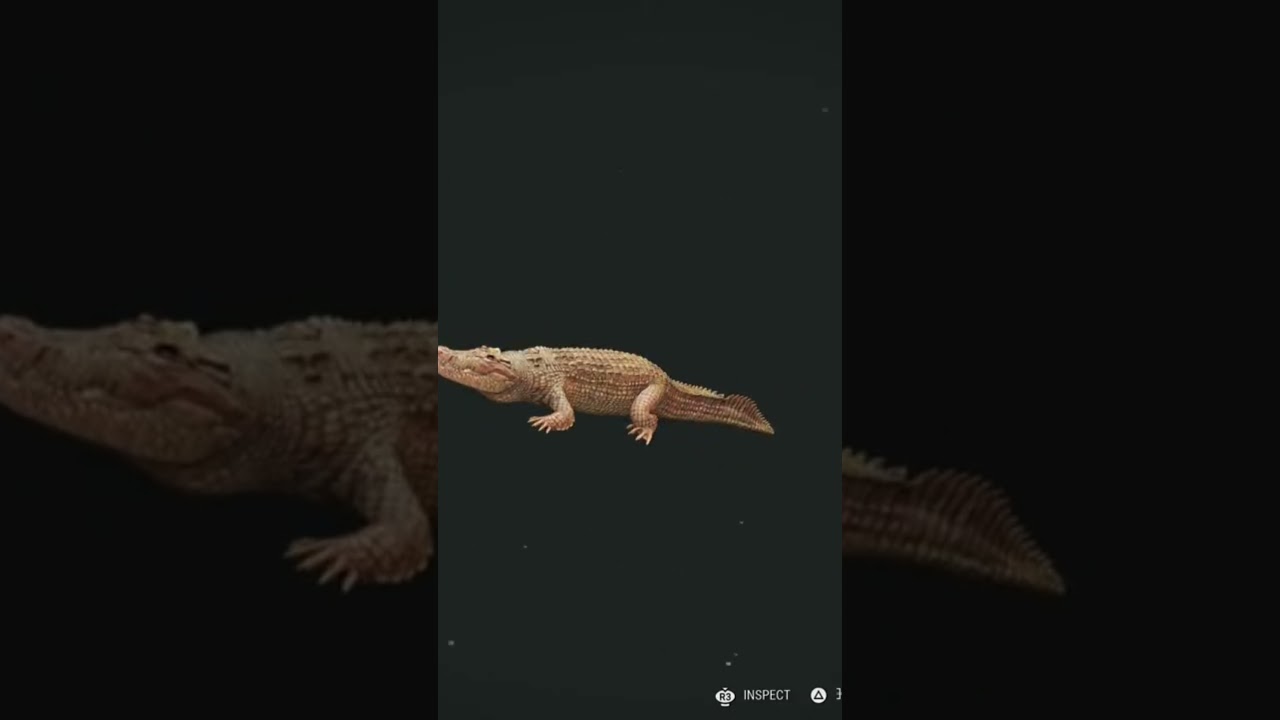 took me 265 kills to get #gaming #thehunter_call_of_the_wild #hunting #cotw #albino #rare #funny