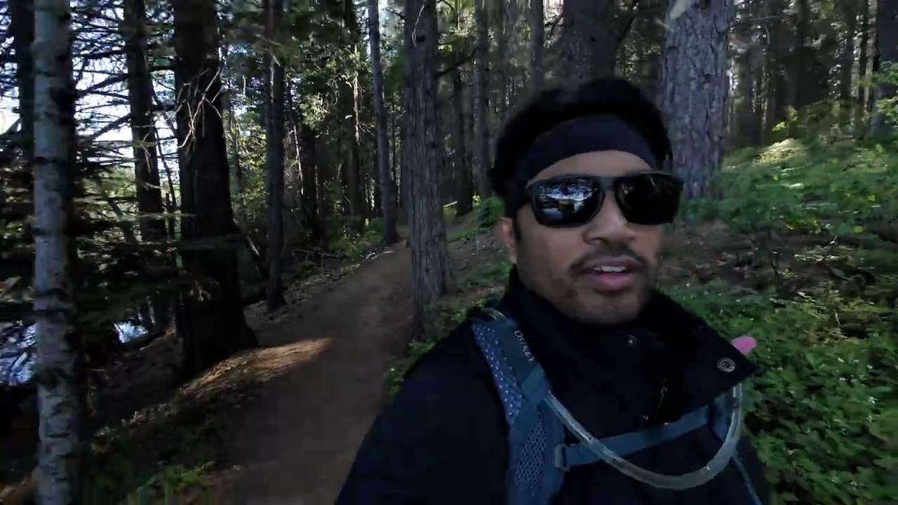 Solo Hiking At Jenkinson Lake (Sly Park)