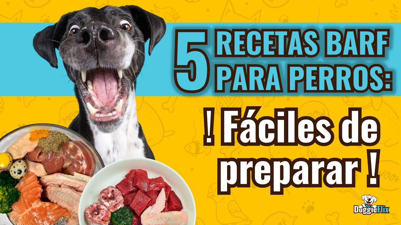Dieta BARF para Perros:  5 Recetas Naturales y Saludables
