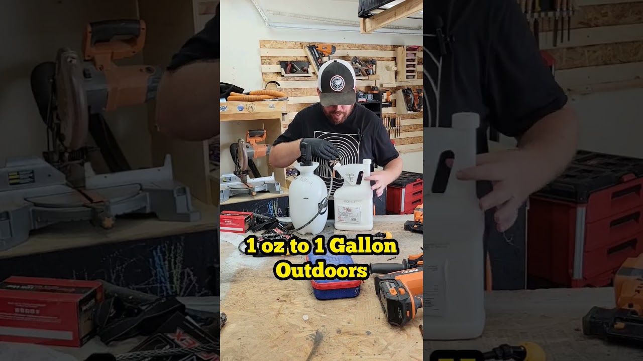 Как сэкономить деньги с помощью самостоятельной борьбы с вредителями! #сделайсам #борьбасвредител...