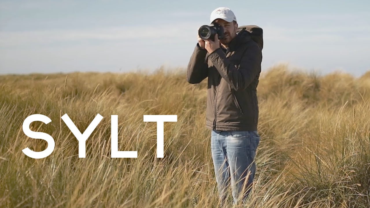 FOTOGRAFIE AUF SYLT: So ging's weiter