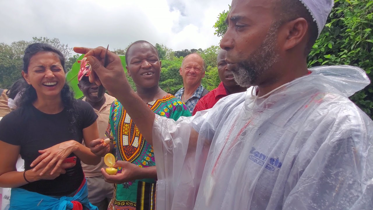 Zanzibar Spice Tour: Nutmeg & Mace!