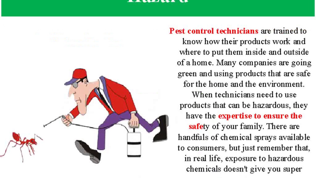 5 Reasons to Consider Termites Charleston Sc Services from Charleston Pest Control