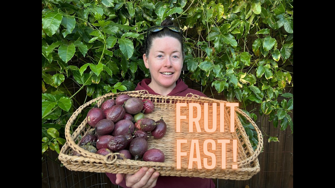 3 Fast Growing Fruits To Grow That Produce in Less Than 1 Year