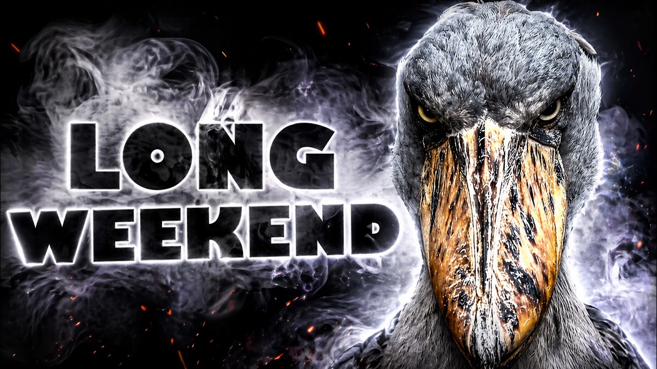 Long Weekend : Un film culte trop oublié ?