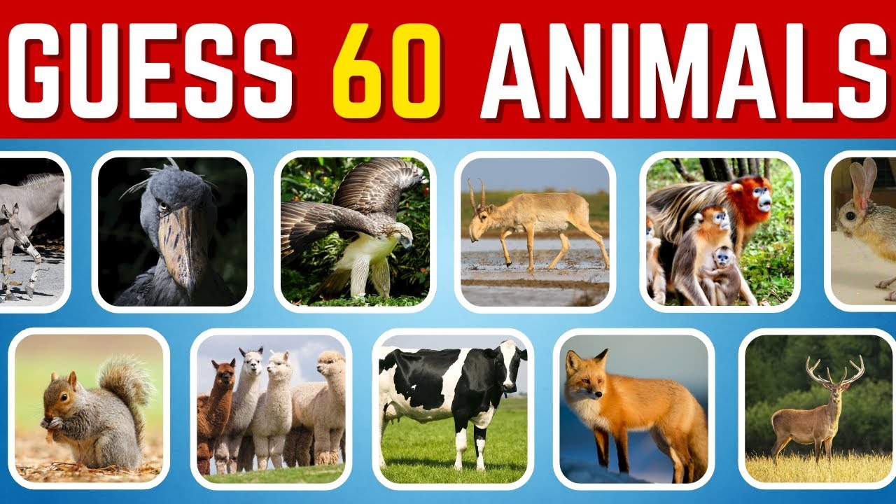 Guess the Animal in 3 Seconds | 60 Animal Quiz Challenge | Part 2 | Quizniac