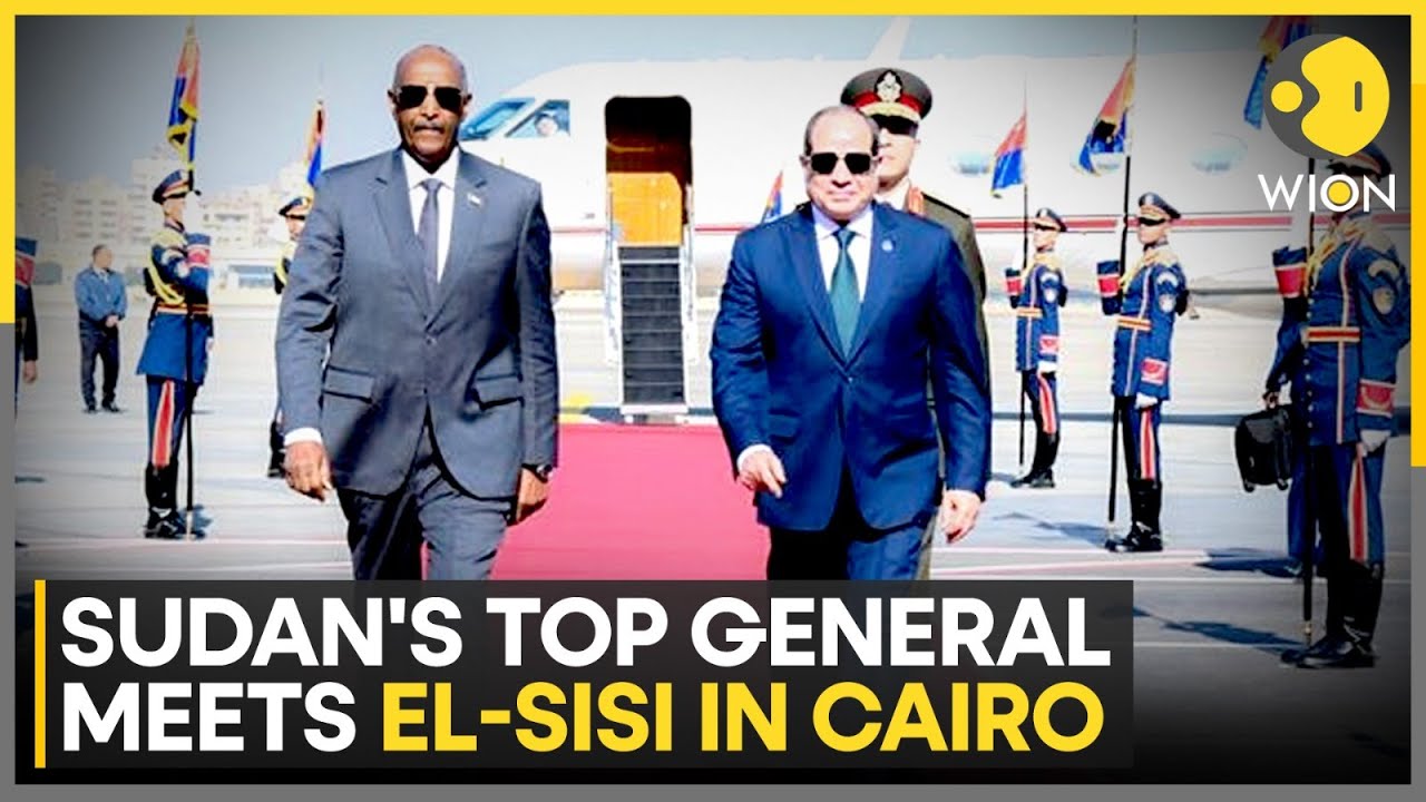 Egypt Rejects Establishment of Any Parallel Entities | WION