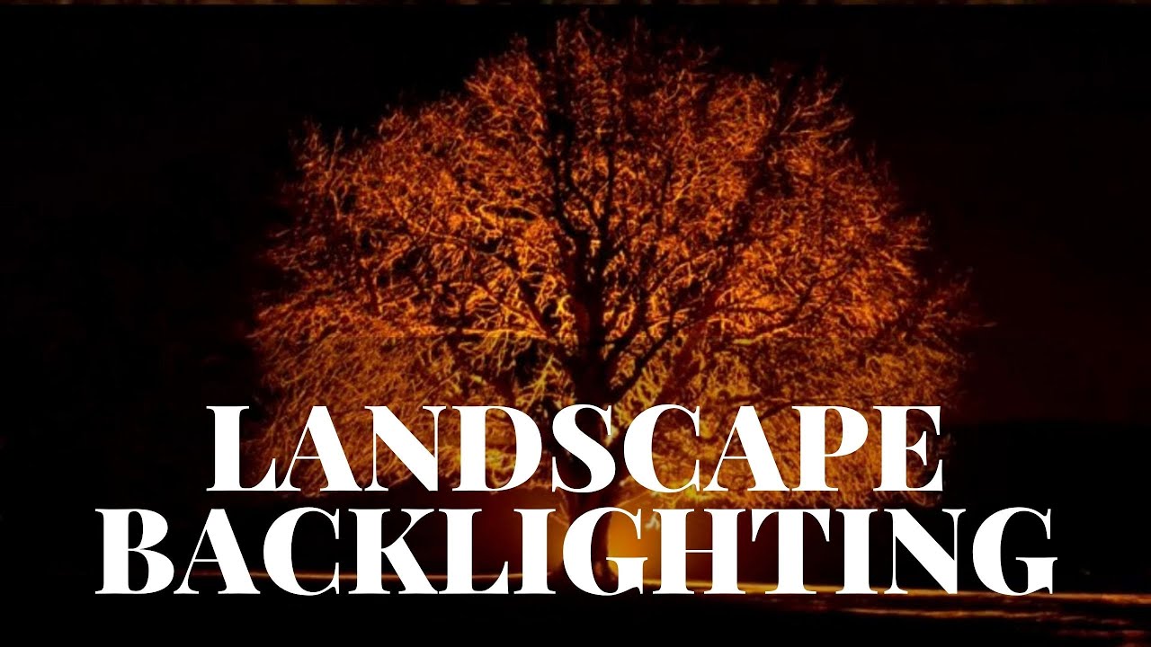 Landscape Backlighting • General Overview • Free Landscape Lighting Course