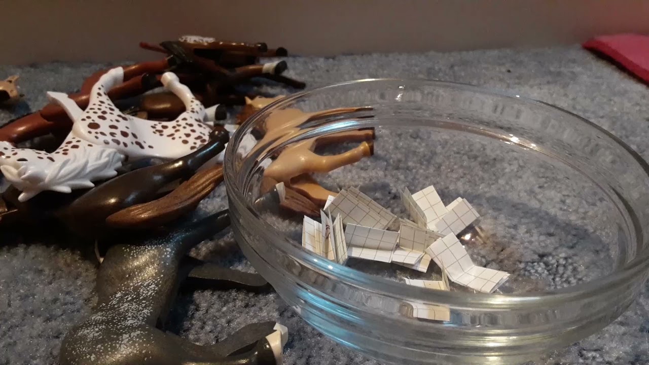 Pferd ab in deine Box mit Zettel ziehen / Playmobil Reiterhof