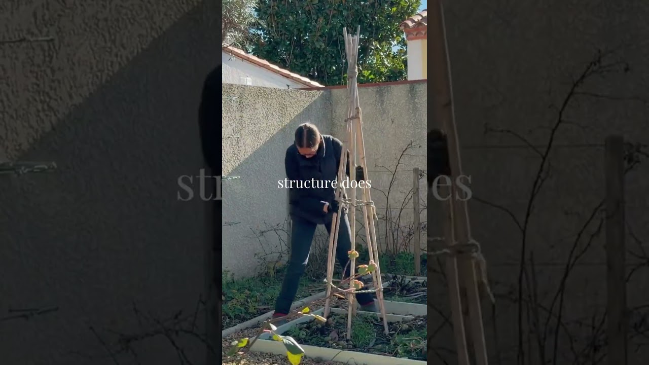 The Reason Why Small Gardens Look Messy 