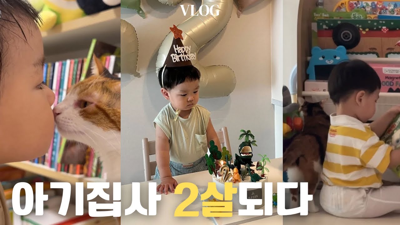 아기집사 두살이 되었어요!! | 2번째 생일파트, 베어트리파크, 언어가 폭발하는 24개월, 여전히 사이좋은 아기와 고양이❤️