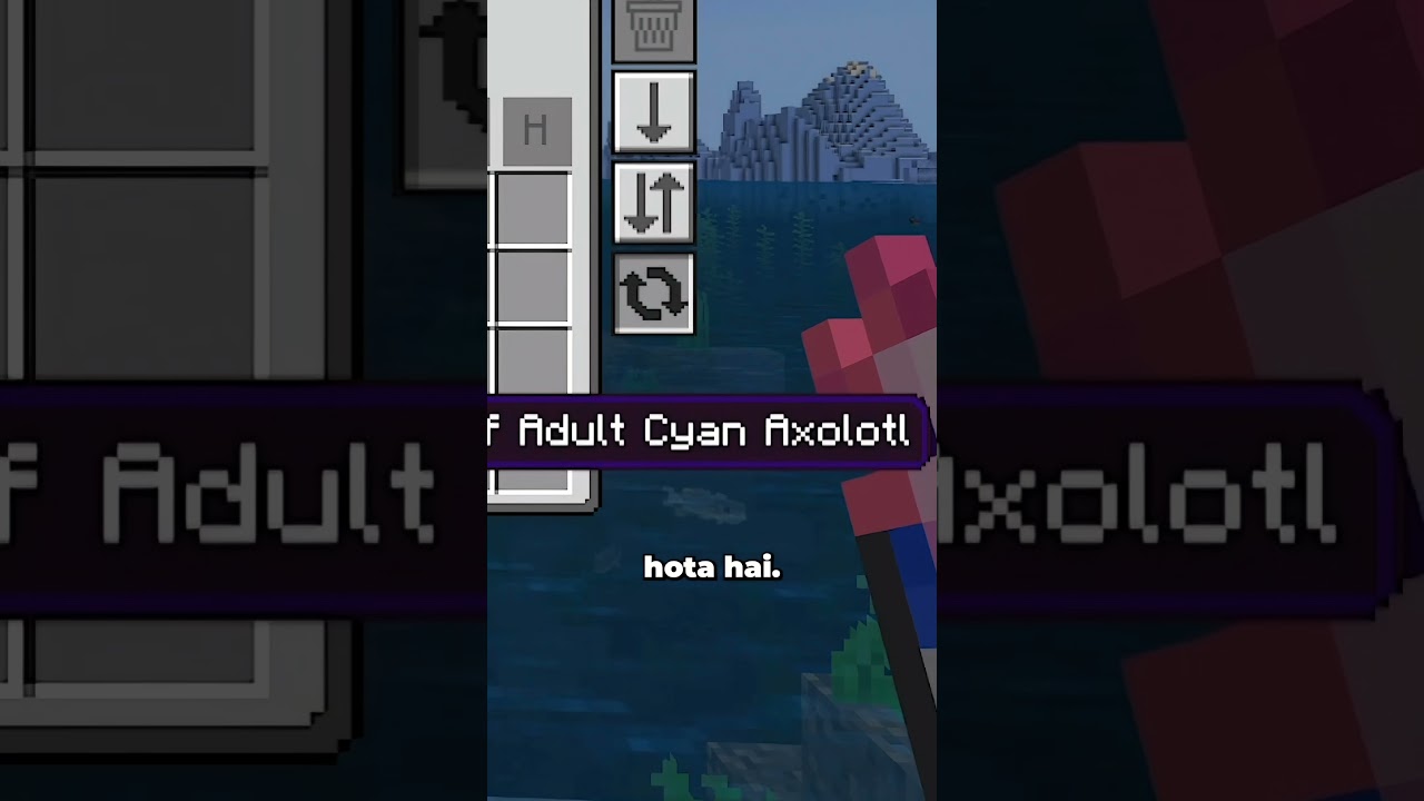 Minecraft Java Vs Bedrock Interesting Facts (Part 2) 