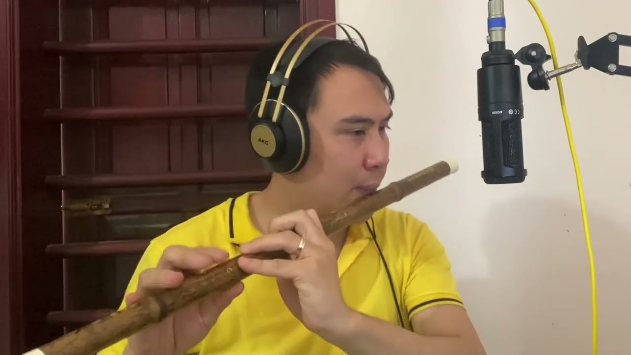 Auld Lang Syne - Dizi Cover