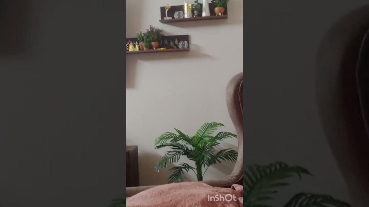 الاخ الكبير طلع صح محمد حوارات في ورطه