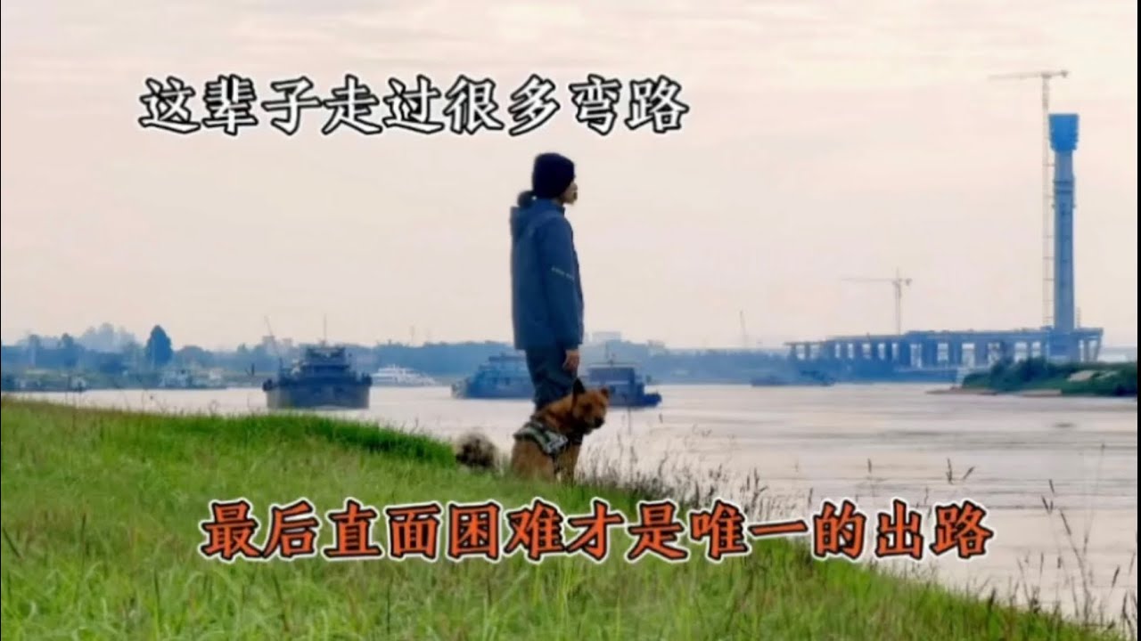 这辈子走过很多弯路，最后才明白直面困难才是唯一的出路 #平凡生活 #遇见另一个自己 #生活紀錄 #勵志人生 ￼#樂浪星 #rescue #wander #流浪 #萌宠 #生活日常 #流浪