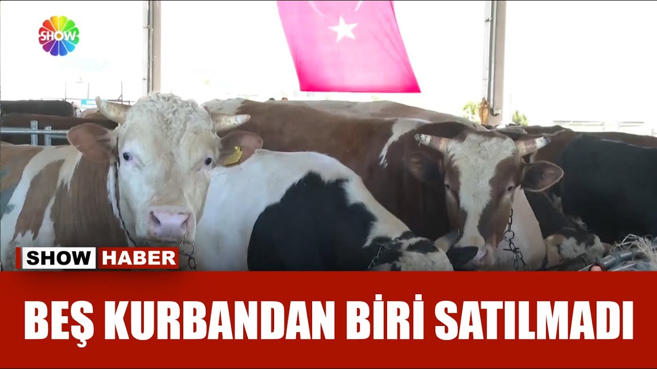 Kurban pazarlarına arife bereketi uğramadı