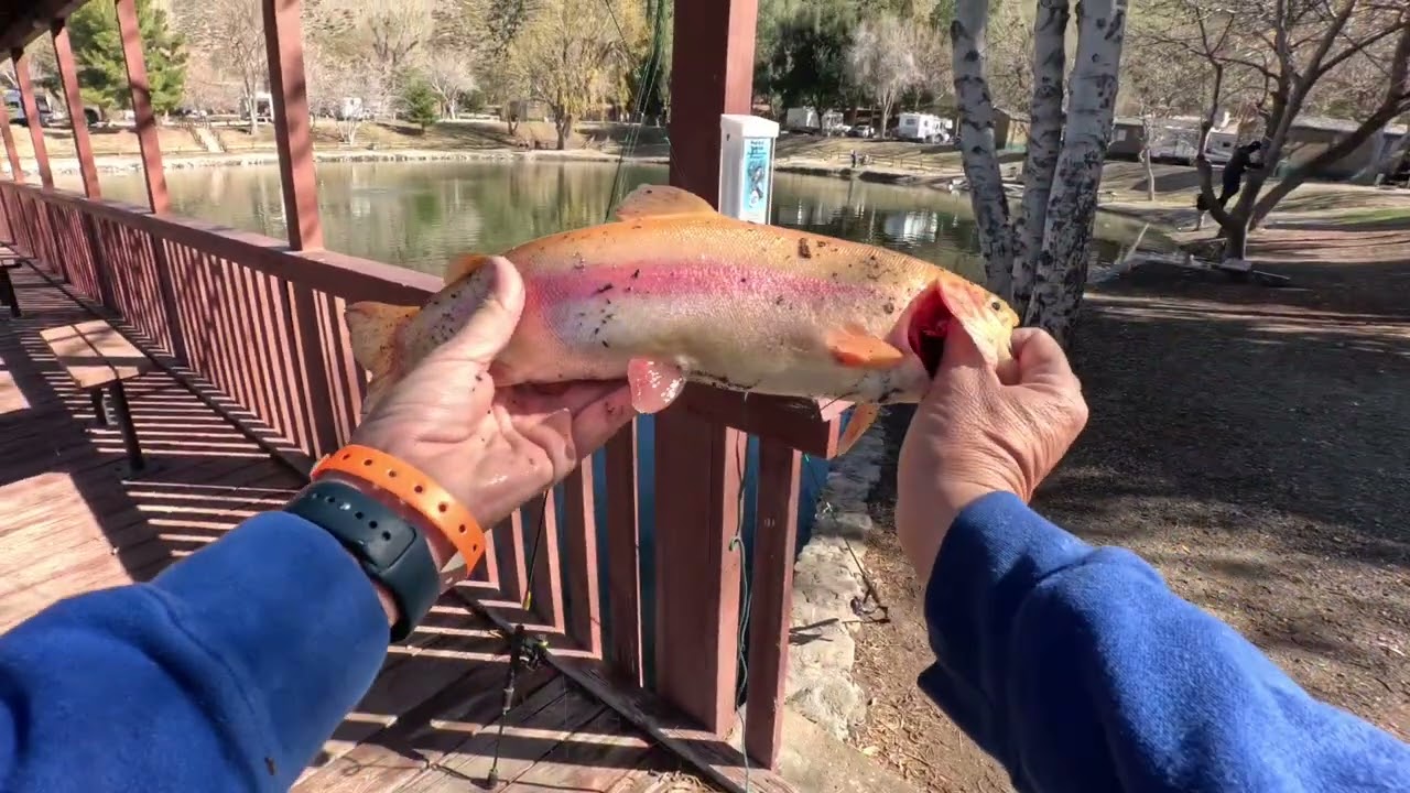 Mountain Lakes RV Resort | Quick limit of trout
