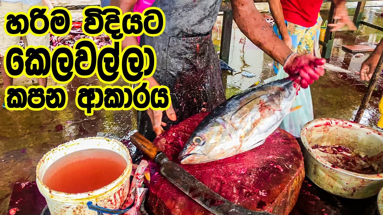 Very Well!! Yellowfin Tuna Fish Cutting Skill Video 
