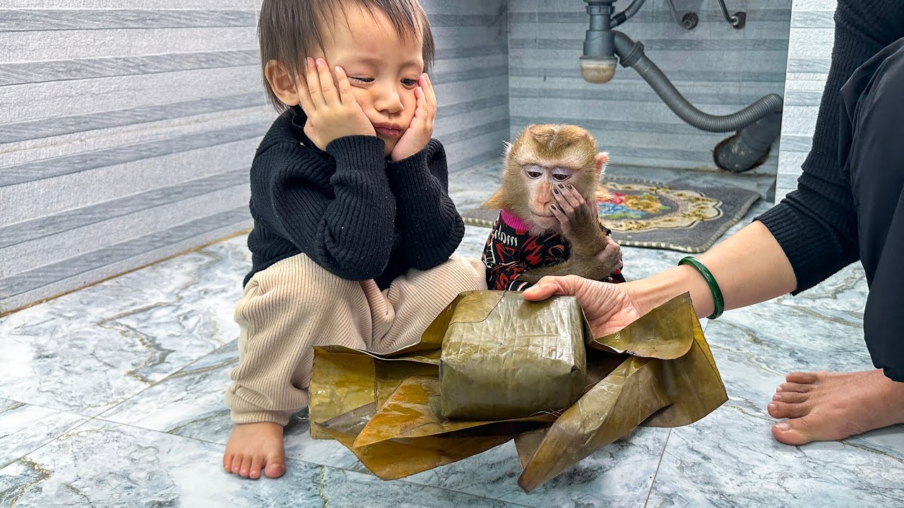 Monkey Kaka and Diem wait for mom to fry banh chung is so cute
