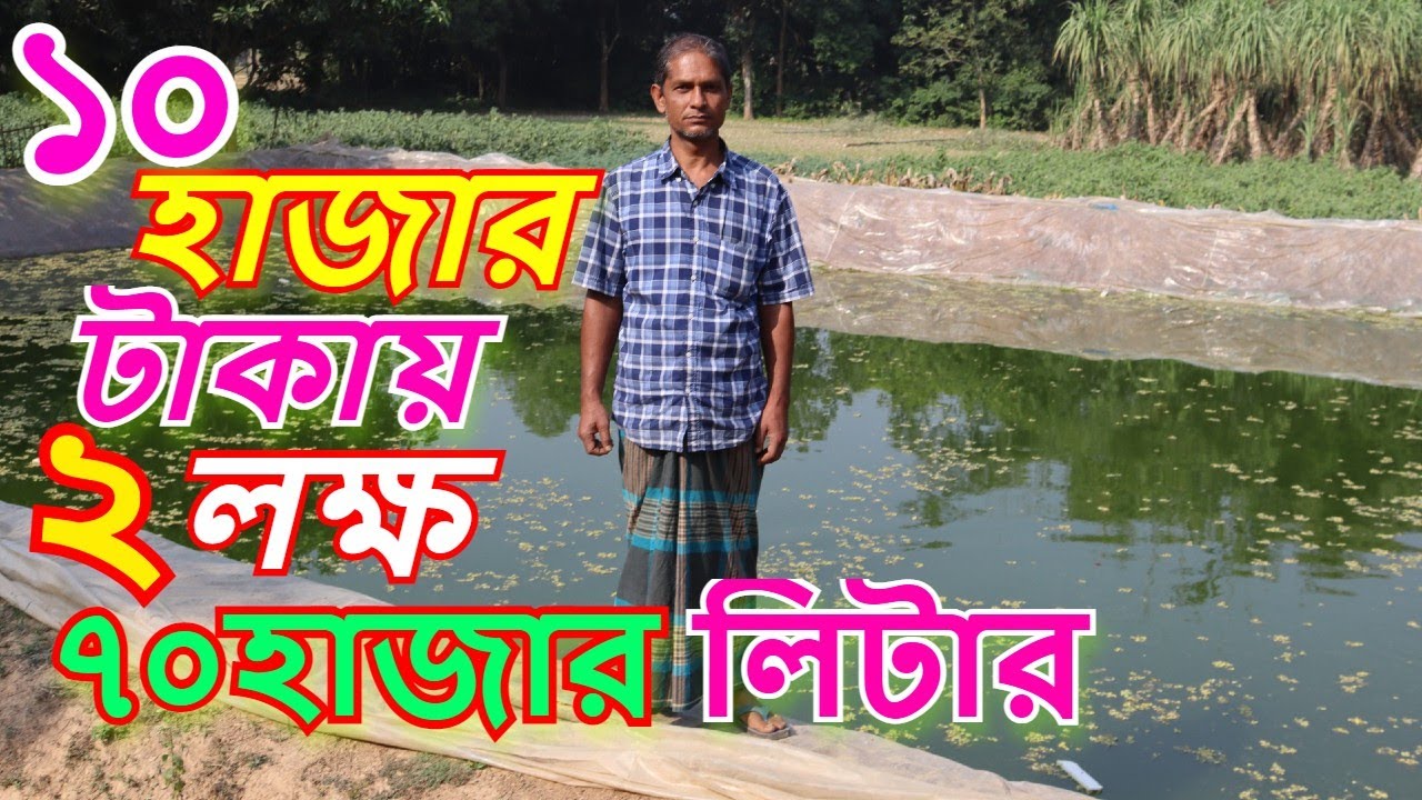 অভিঙ্গ মস্য চাষীর থেকে জেনে নিন  মাছ চাষে কিভাবে লাভবান হওয়া যায় । সহজ পদ্ধতিতে মাছ চাষ । রুবেল মিয়া