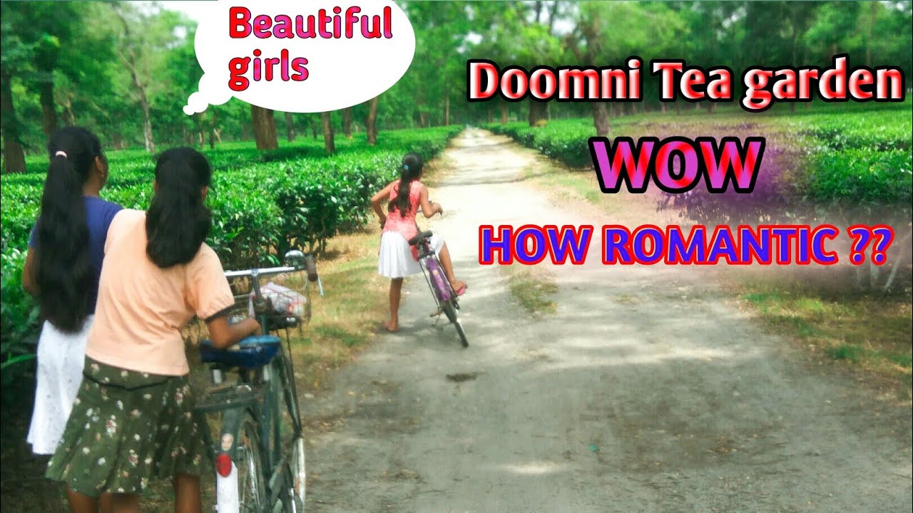 Doomni Tea Estate ||| Wow #how_Romantic place❤️❤️❤️😍😍😍