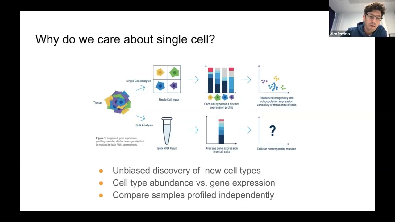 Bioinformatics Club | 19.08 - How can AI transform the analysis of gene expression data?