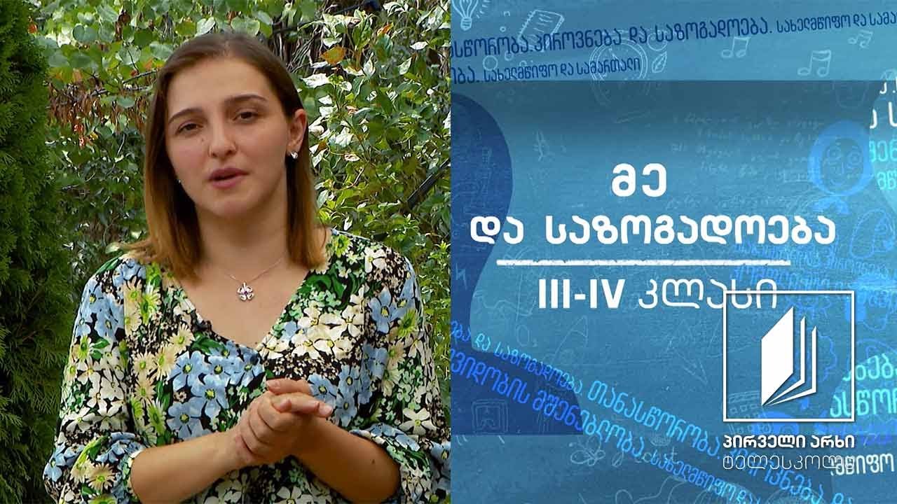 მე და საზოგადოება, III-IV კლასი - კონსტიტუცია #ტელესკოლა