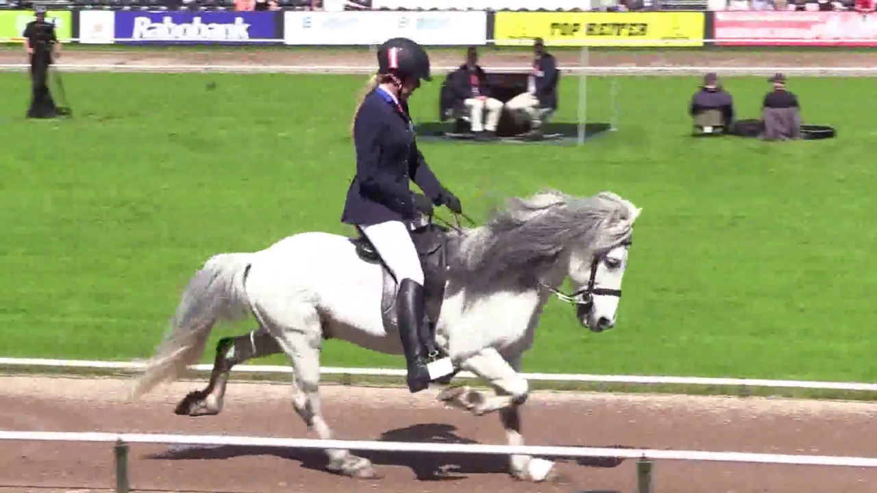 Héðinn frá Feti, WC17F1