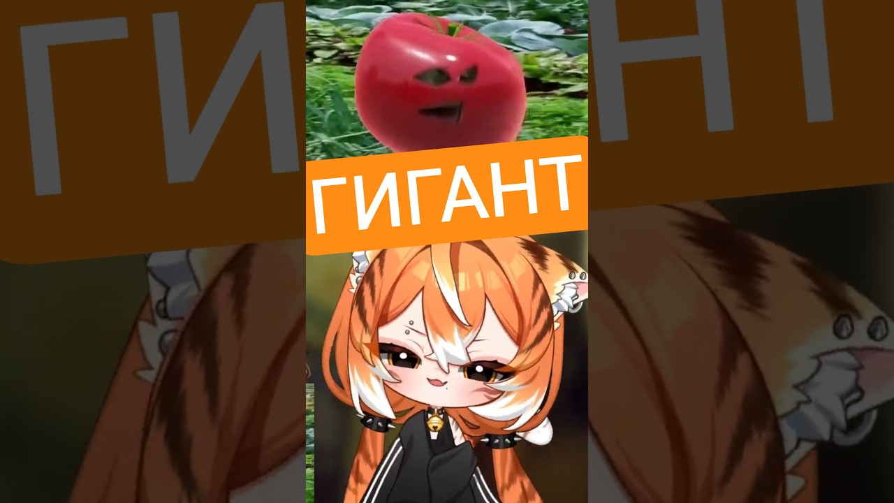 ГИГАНТ #sleduck #sledovatel #banshameow #vtuber #мем #мемы #юмор #twitch #stream #стрим #anime #fyp