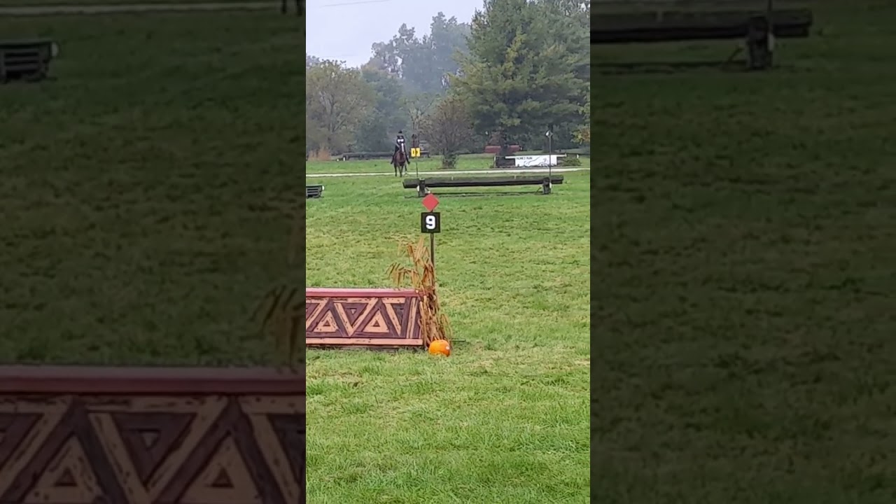 Honey Run Team Challenge Novice -2021