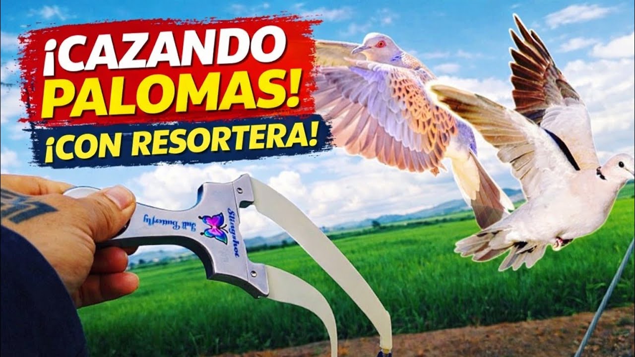 practicas con slingshot ( tiradores) nos divertimos 👍🏻