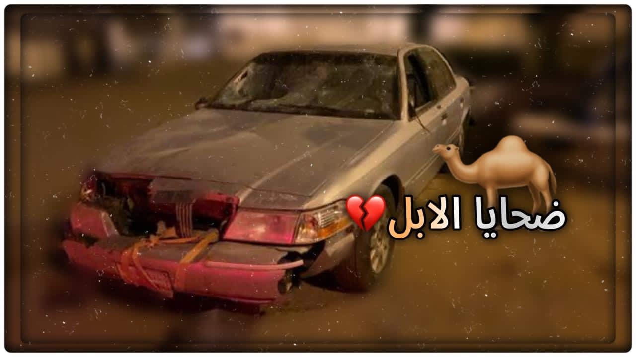 مشوار ينبع _ المدينه المنوره _ خان الصدام وين؟😢