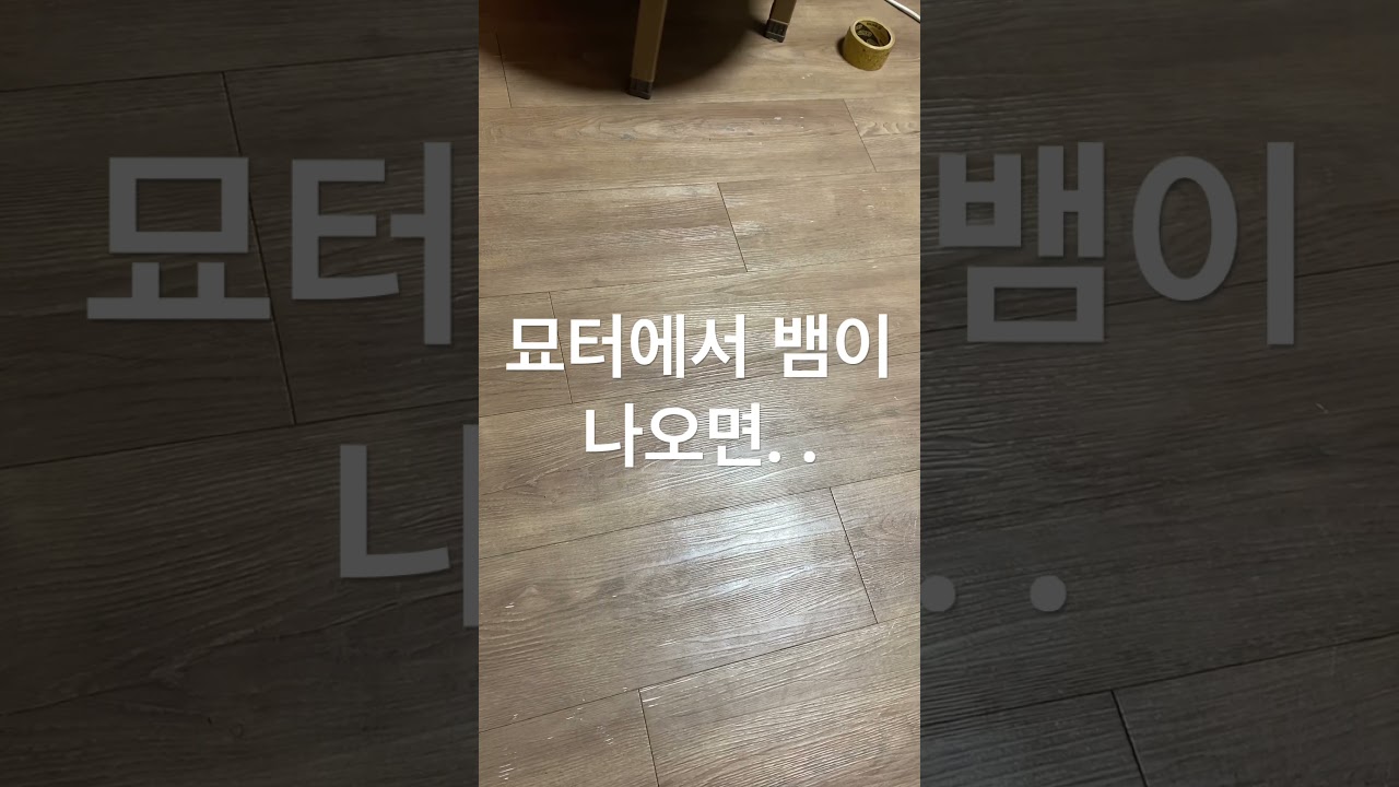 2024년 4월 3일#조상 #묘터#명당