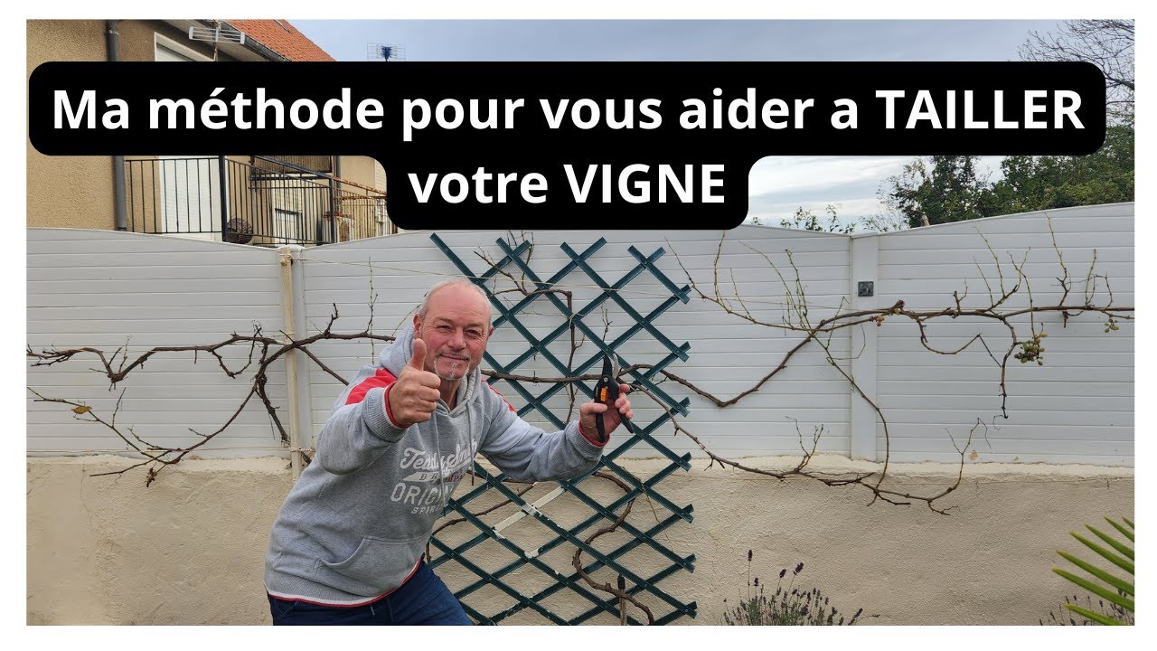 Ma méthode pour vous aider a tailler votre vigne  .Comment tailler pour du raisin !