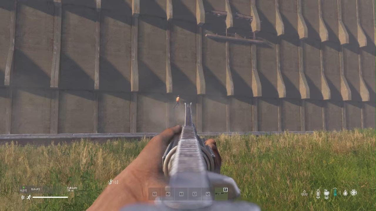 DayZ_20260202040317