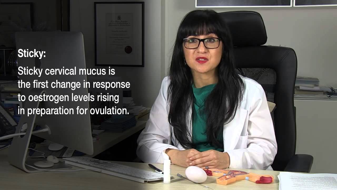 How To Get Pregnant - Cervical Mucus & Predicting Ovulation - Series 1 - Episode 5