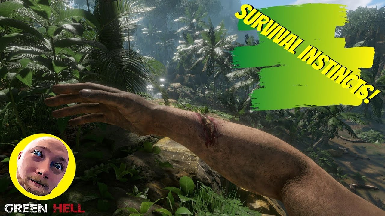 SURVIVAL INSTINCT! - Green Hell | Part 2