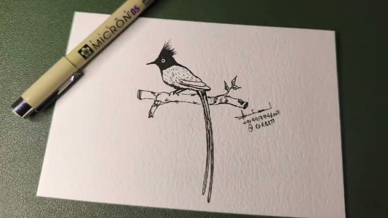 🛑 RAAT KE 10 BAJE, ART WORK, SURPRISE GIFT 🎁 FOR TOURIST 😊