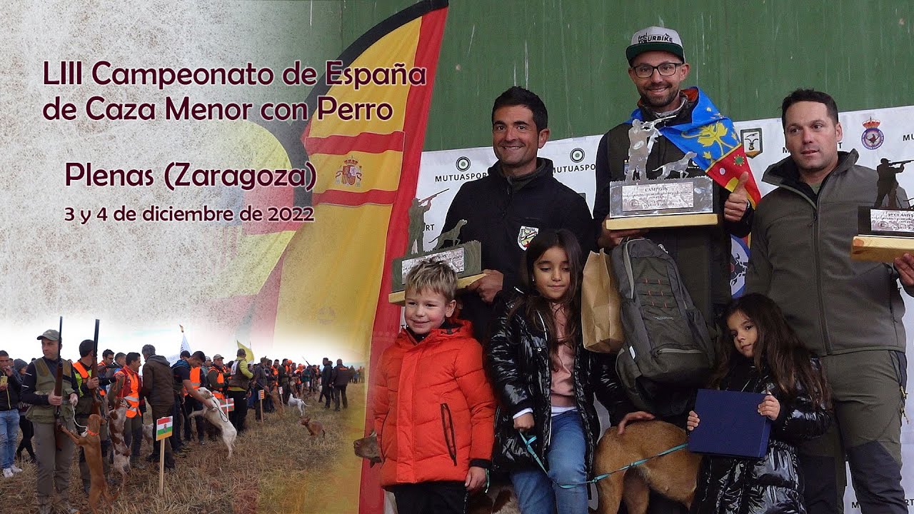 LIII Campeonato de España de Caza Menor con Perro 2022.  Segunda parte, Competición