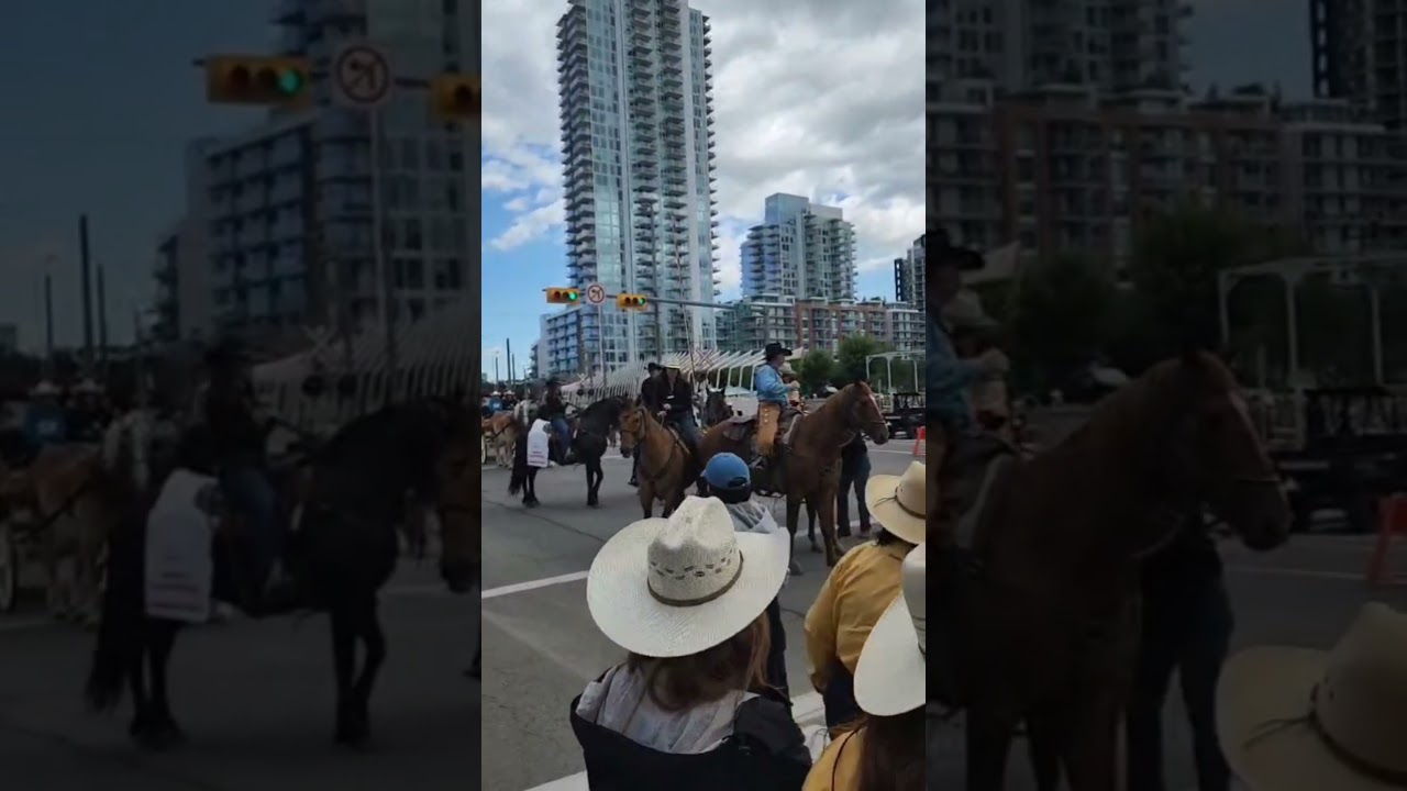 This Happened in Front of Thousands 😱😱🐎#calgary #stampede #calgaryevents #alberta #calgarystampede