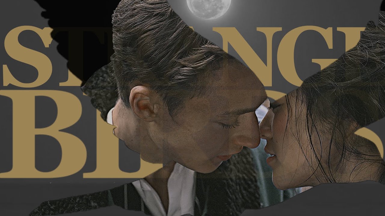 bea + leo | strange birds.