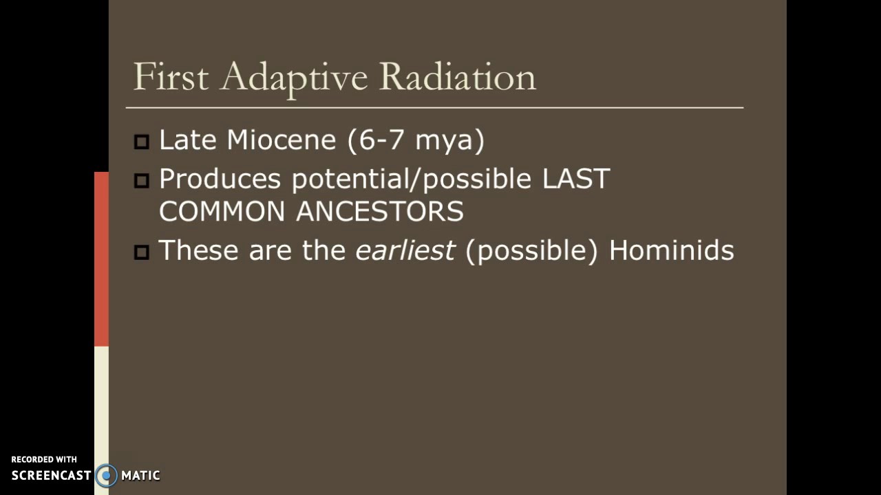 Lesson 12 - Early Hominid Evolution:  The Pre-Australopithecines