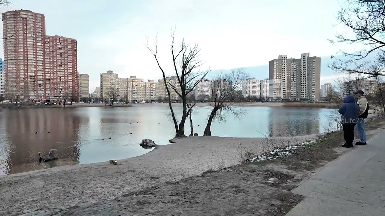 Winter Kyiv | Sunny Lake. Зимний Киев | Озеро Солнечное