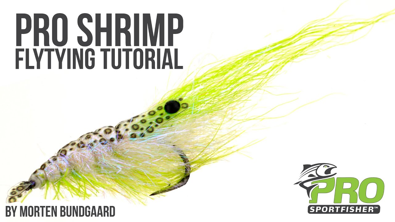 Tying a Pro Shrimp Full Tutorial