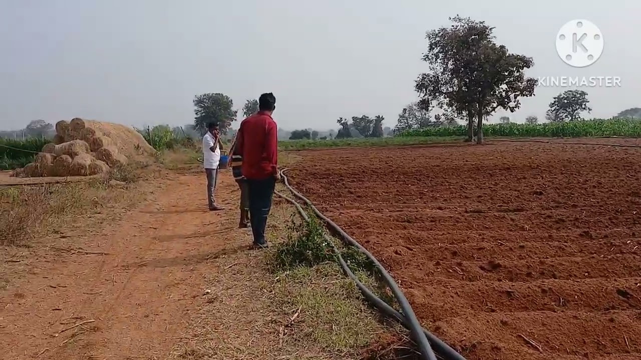 Agricultural land for sale near to keshampet 