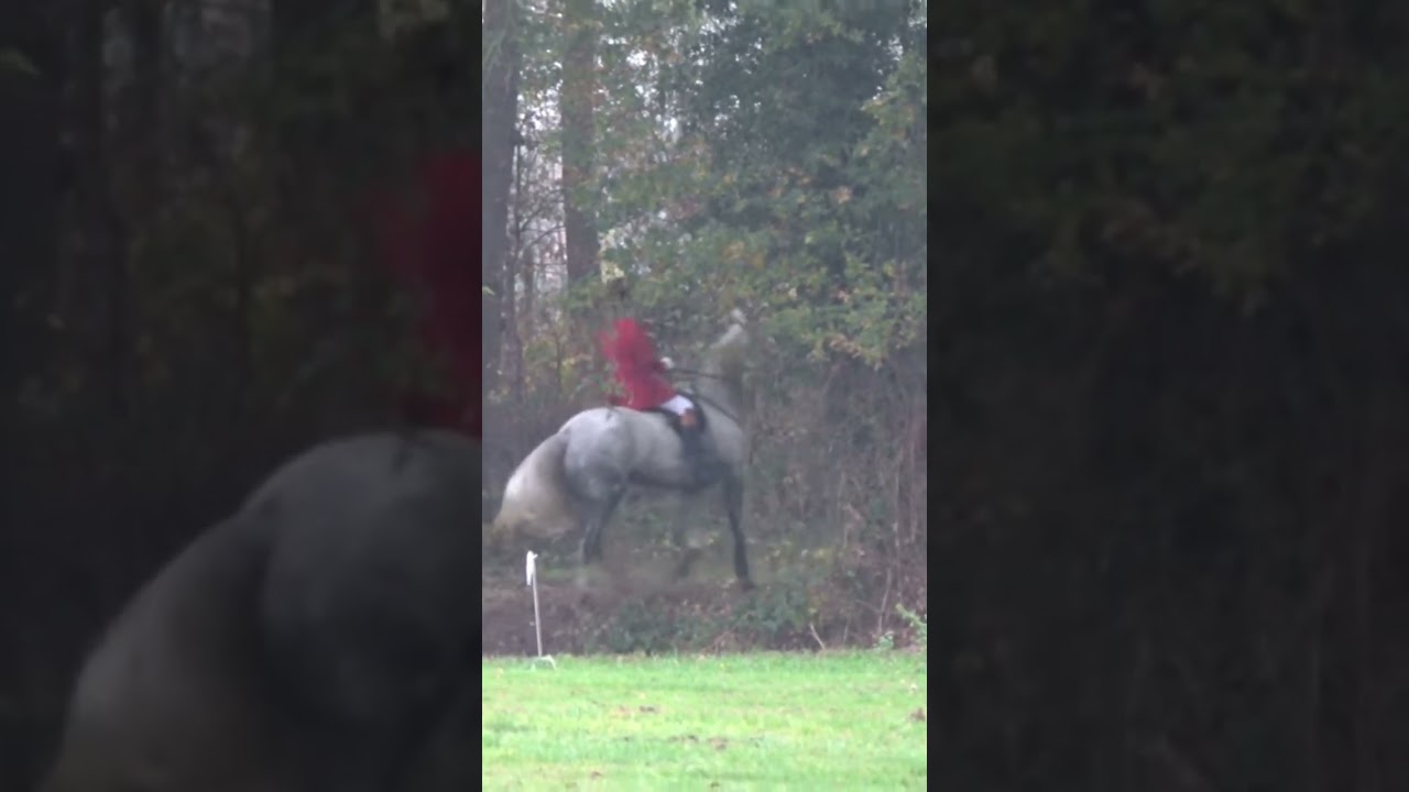 steaplechase drag hunt #special #draghunt #fox #steaplechase #hunting #vos #event #horse #wild #nice