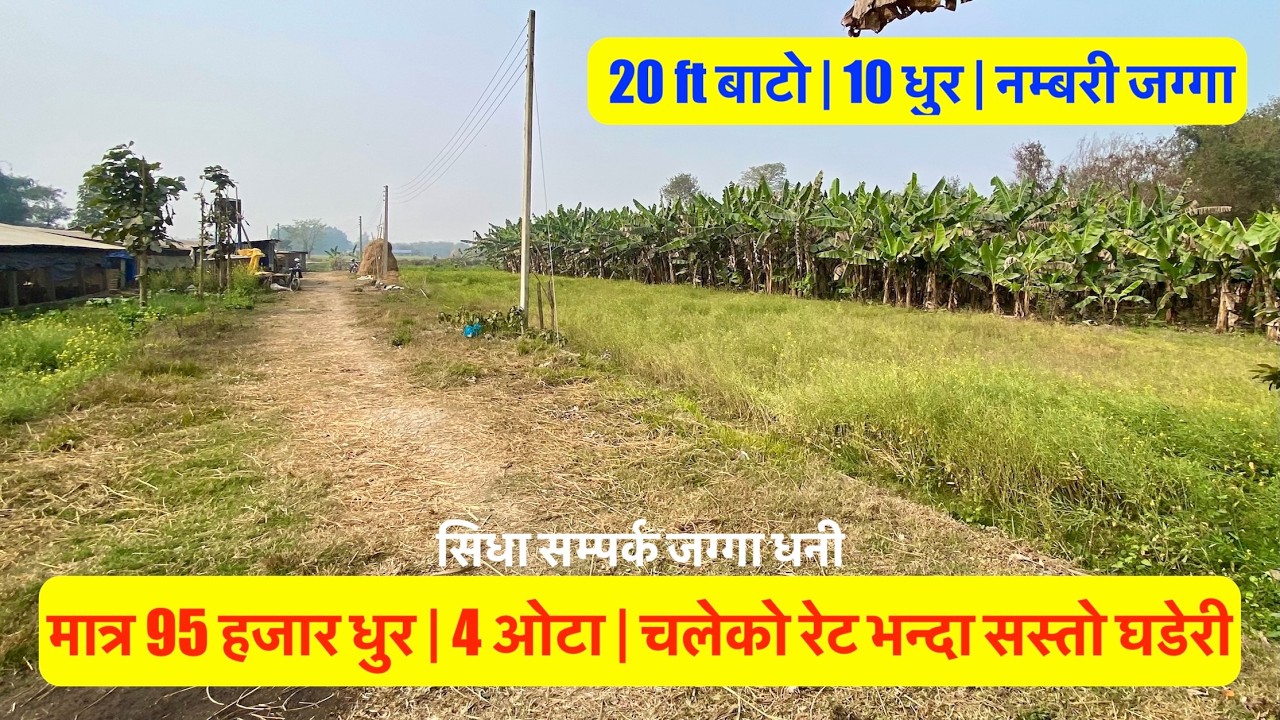 95 Hajar Dhur | 10 Dhur | Morang | Cheap Land for sale in Morang Nepal #bhubanthapa #sastojagga